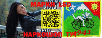 индика Братск