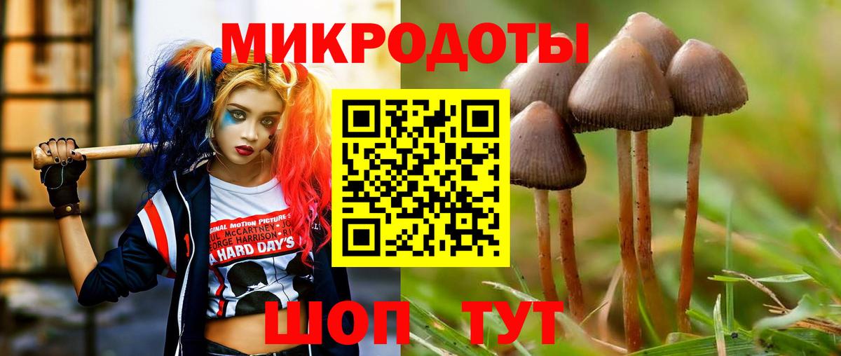 цена   Галлюциногенные грибы Psilocybine cubensis  Вход с VPN  Артём  Галлюциногенные грибы Magic Shrooms 